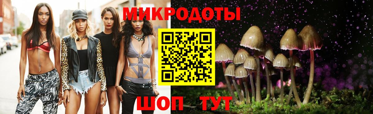 Галлюциногенные грибы ЛСД Большой Камень